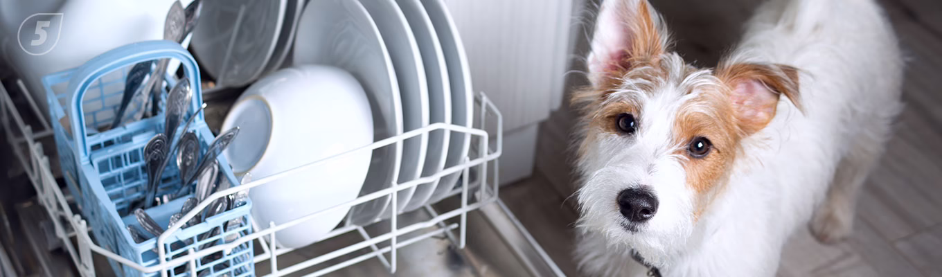 Как выбрать посудомоечную машину в 2026 году: инженерный подход к чистоте