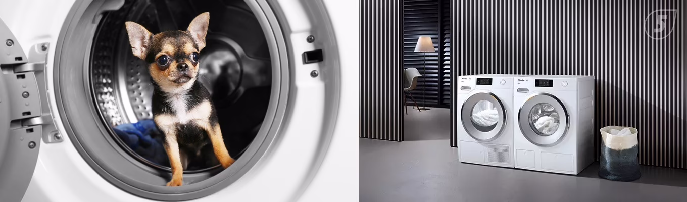 Выбор стиральной машины под задачи