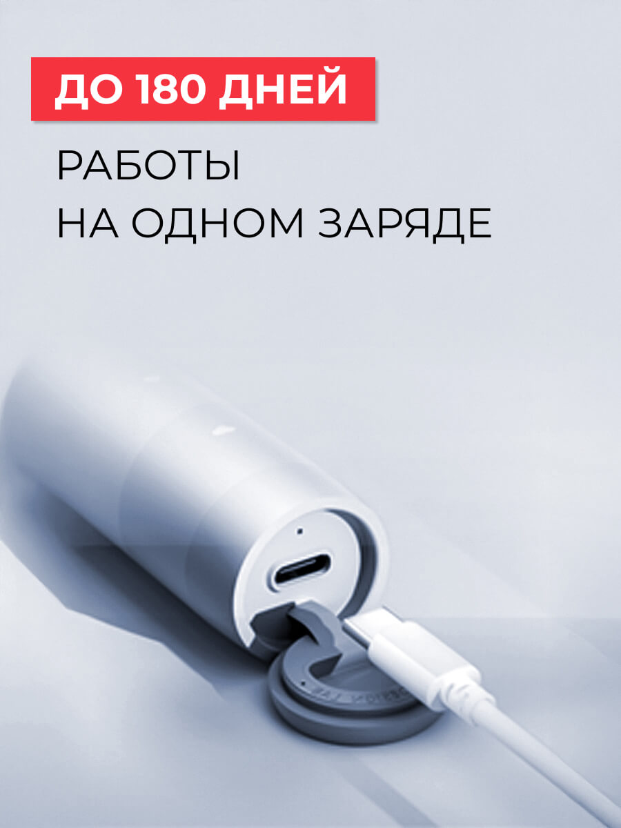 180 дней