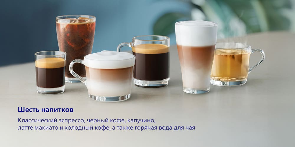 шесть напитков