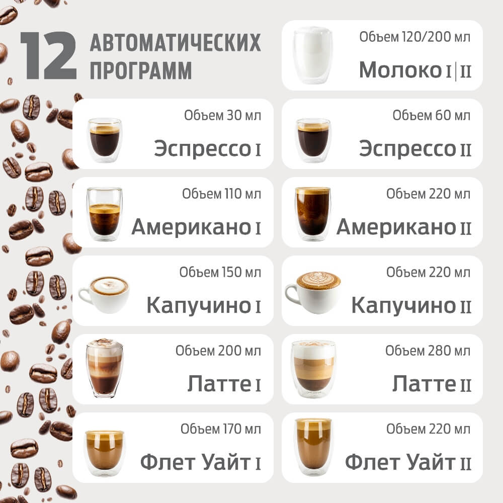 12 программ