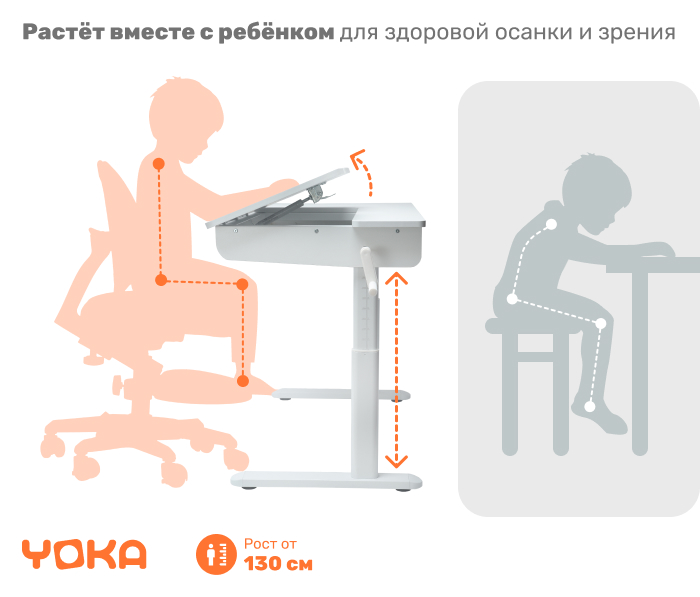 основная