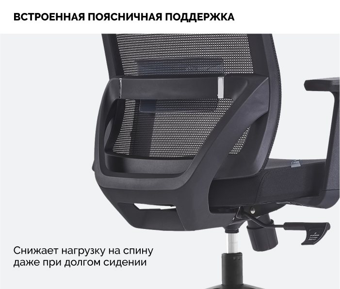 Поясничная поддержка