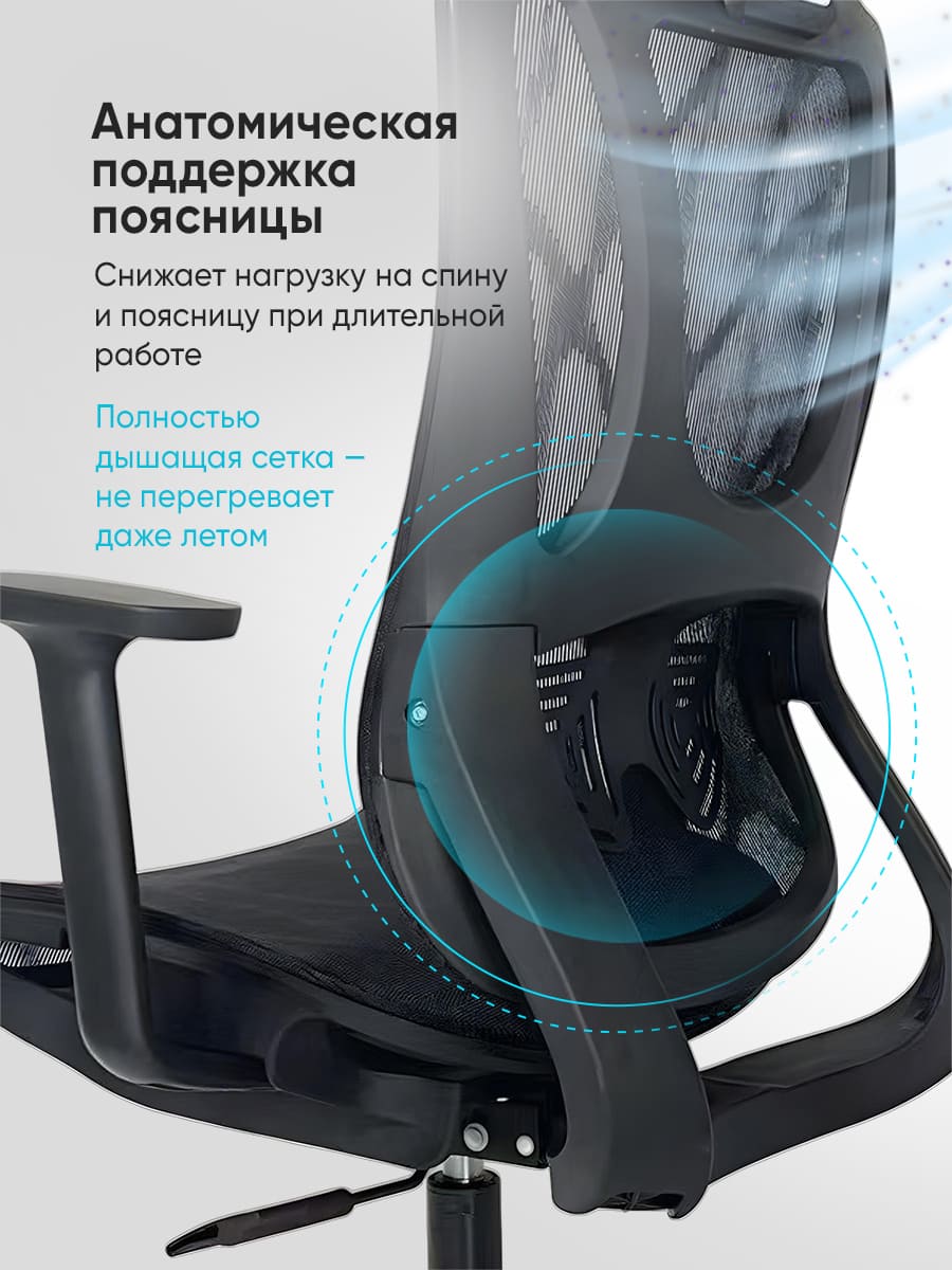 анатомическая поддержка поясницы