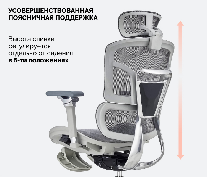 Поясничная поддержка