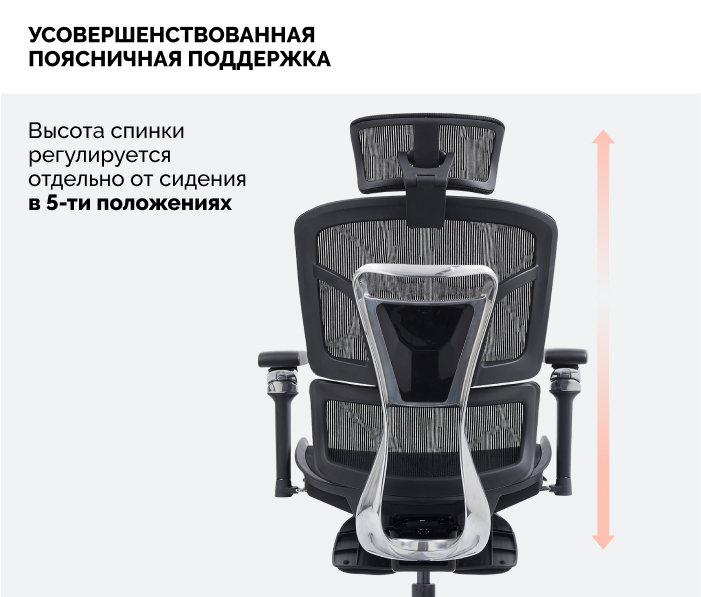Поясничная поддержка
