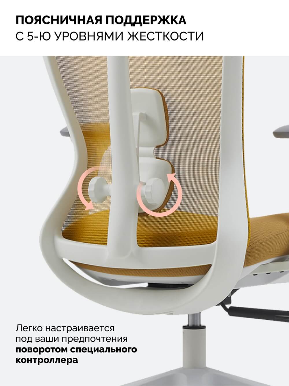 Поясничная поддержка
