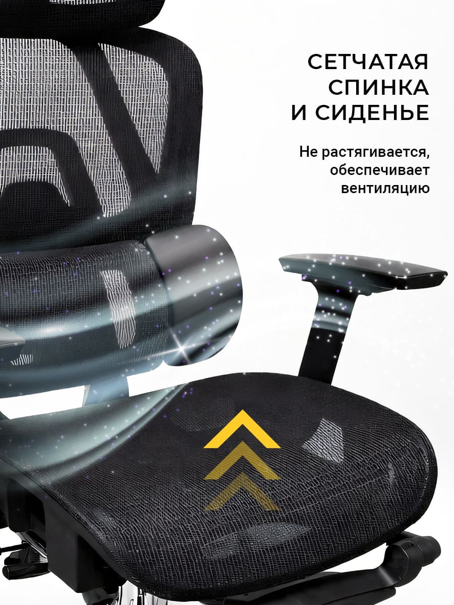 сетчатая спинка