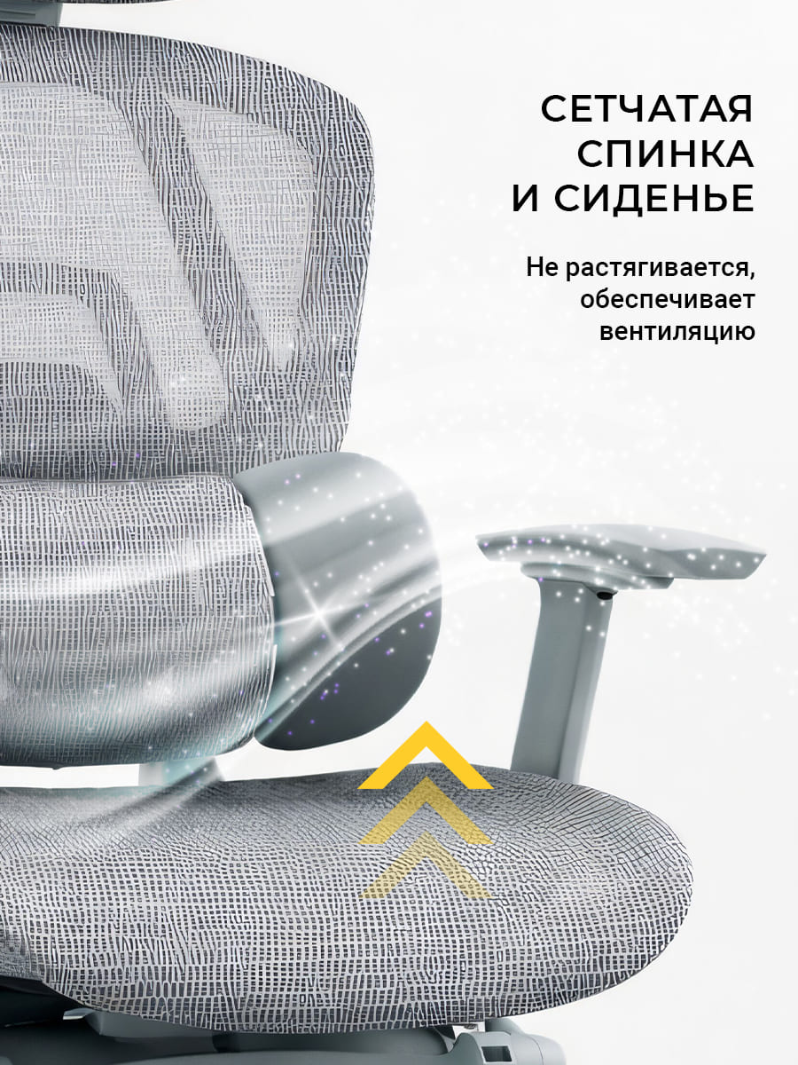 сетчатая спинка