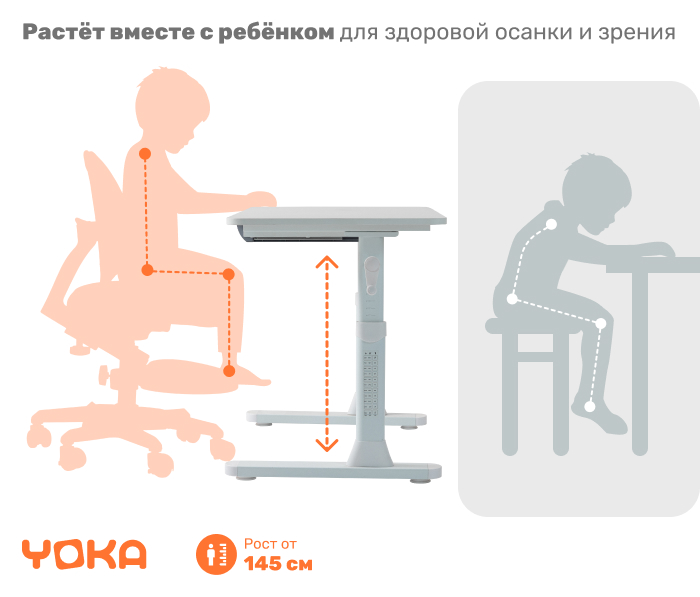 основная