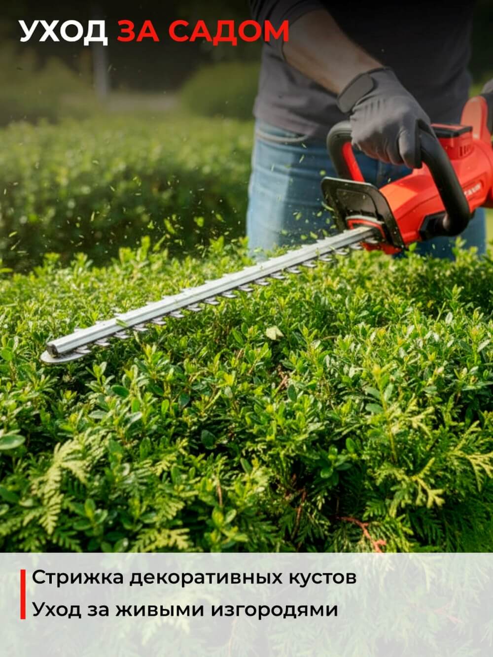 Уход за садом