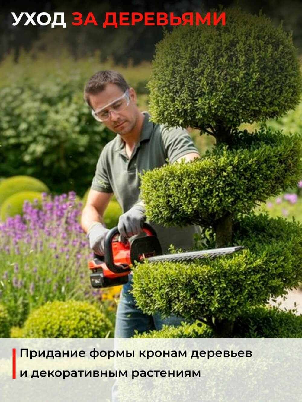 Уход за деревьями