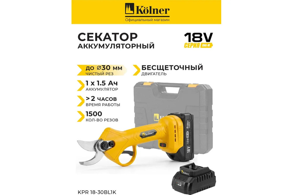 основная