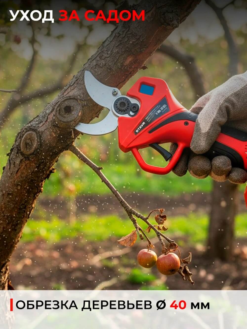 Уход за садом