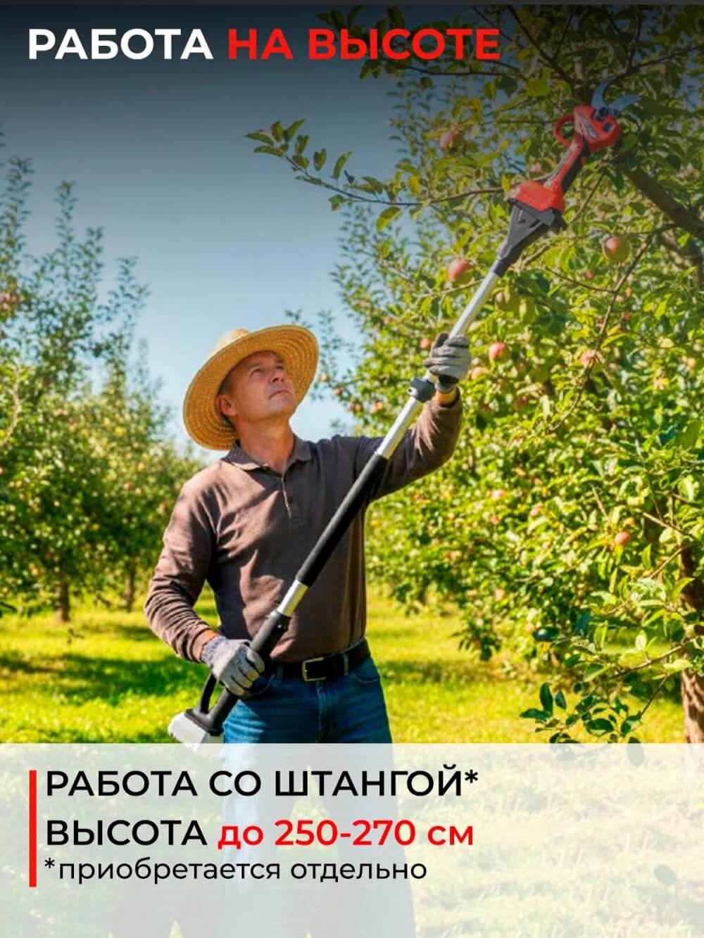 Работа со штангой