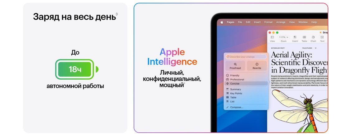 Заряд на весь день