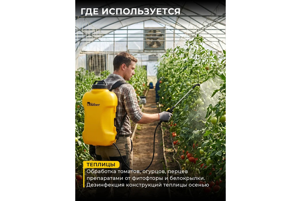 теплицы