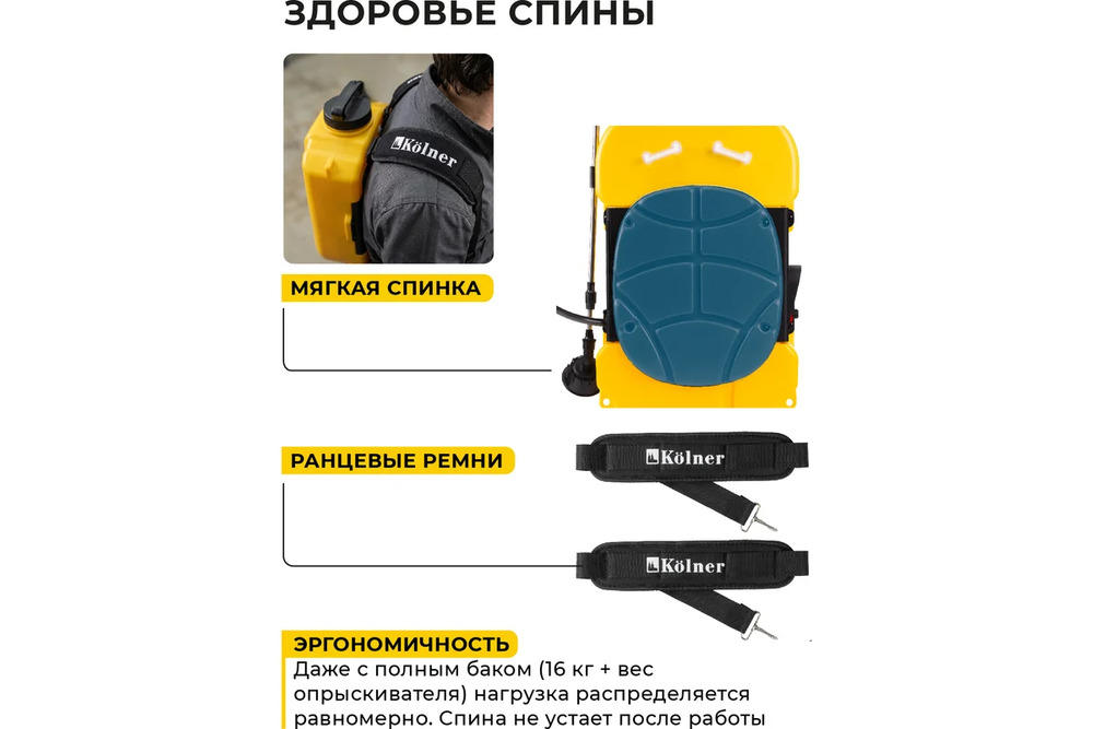 здоровая спина
