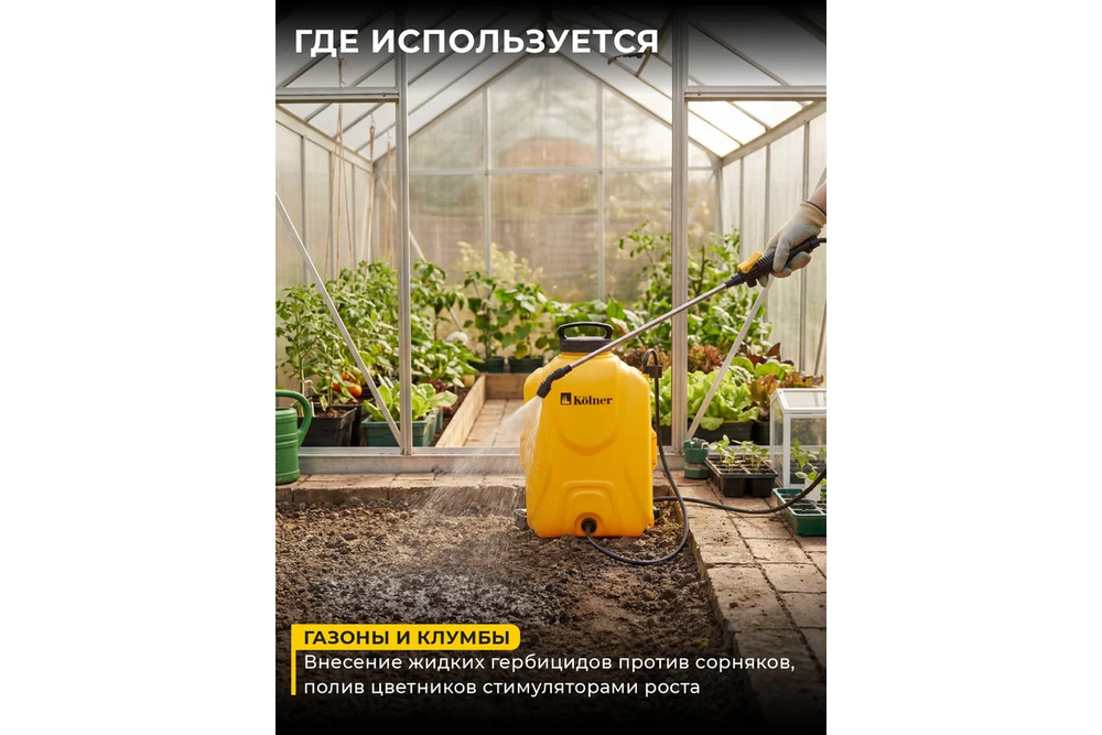 газоны