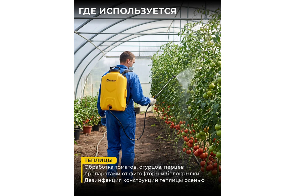 теплицы