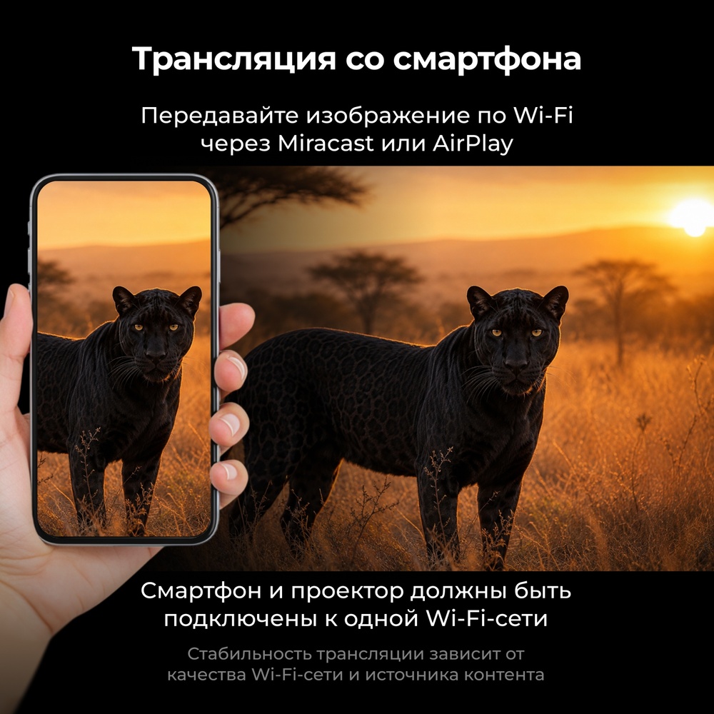 транляция