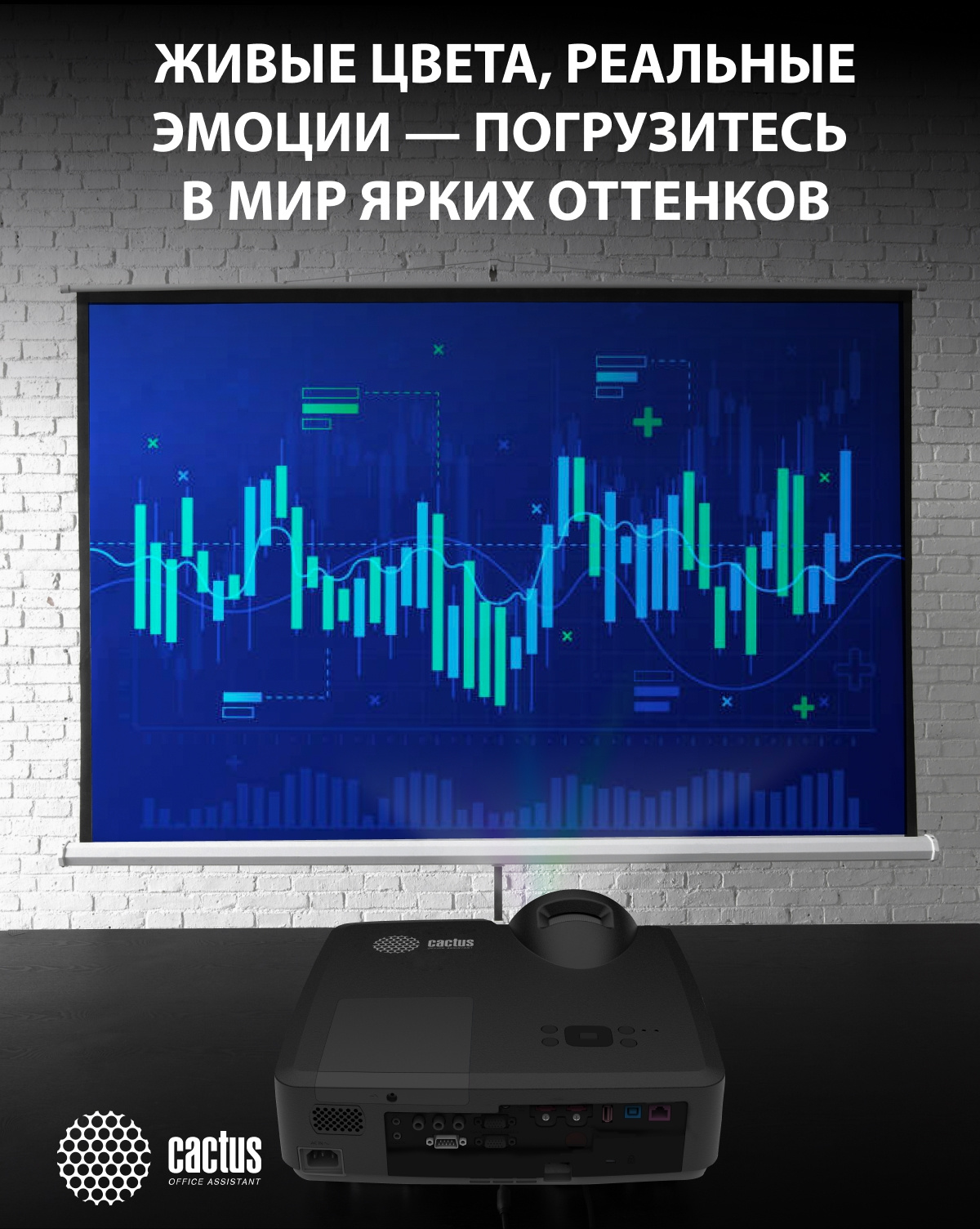 живые цветы