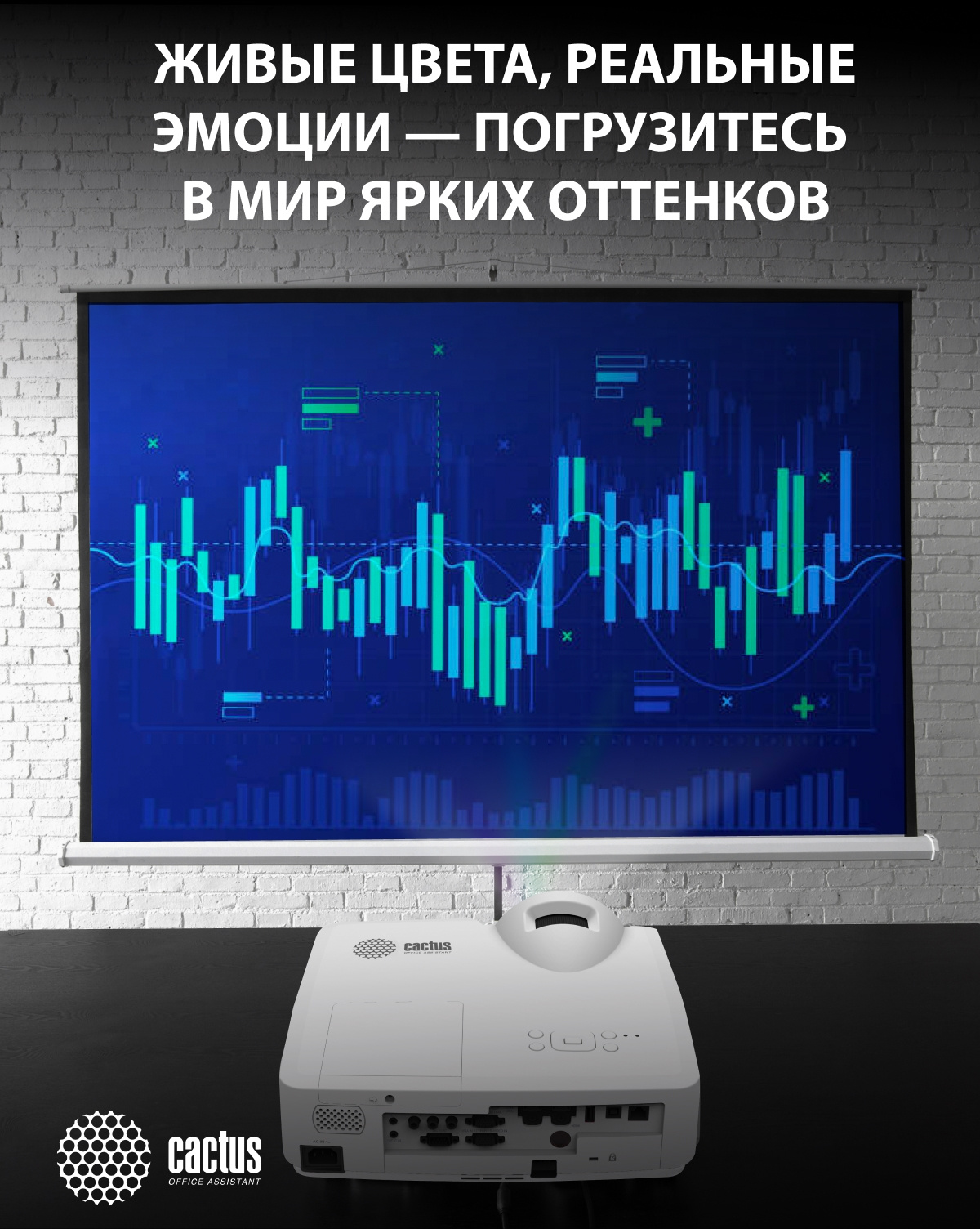 живые цвета