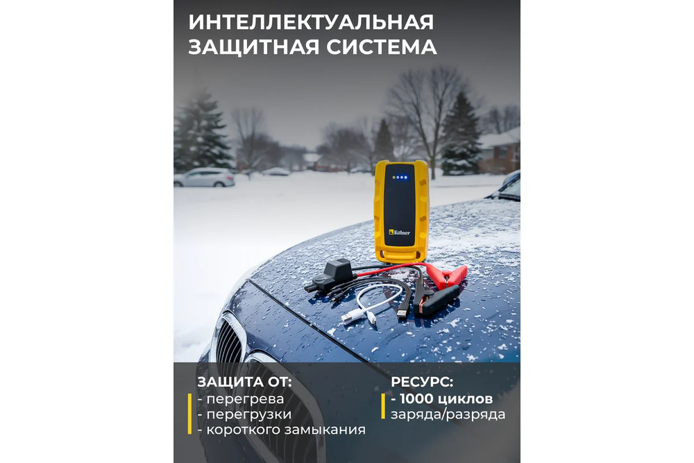 защитная система