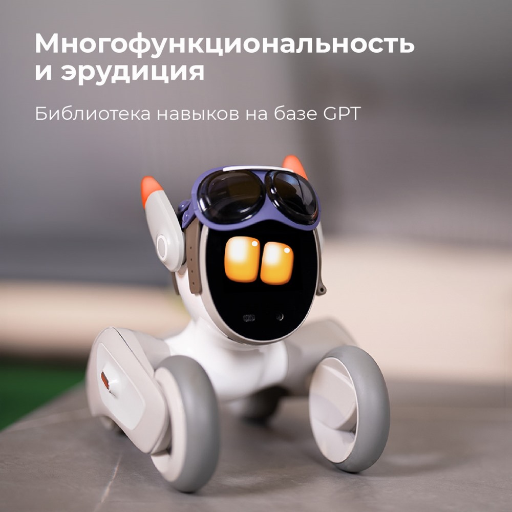 Эрудиция