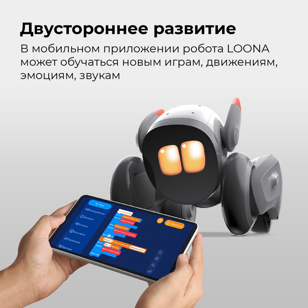 Двустороннее развитие