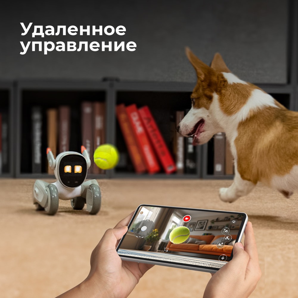 Удаленное управление