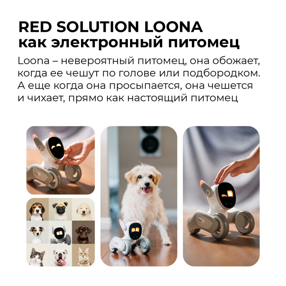 Электронный питомец