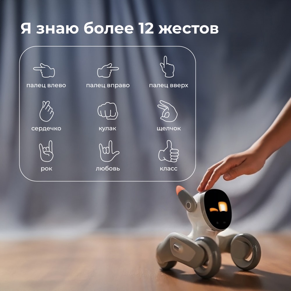 12 жестов