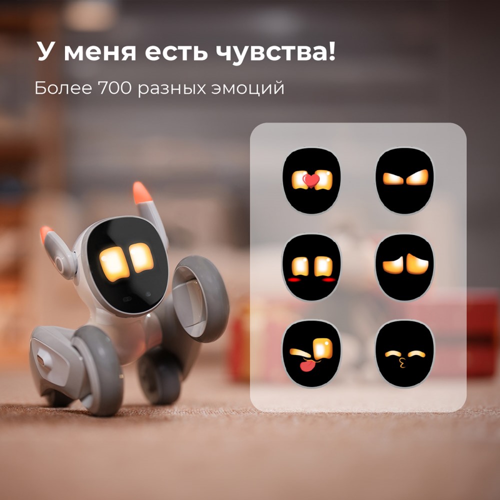 Есть чувства