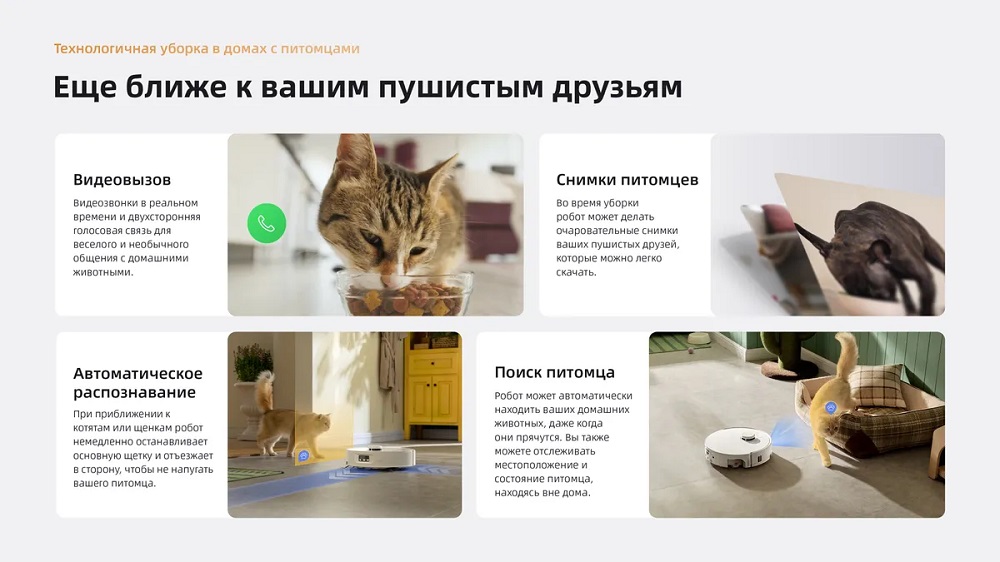 Ближе к пушистым друзьям