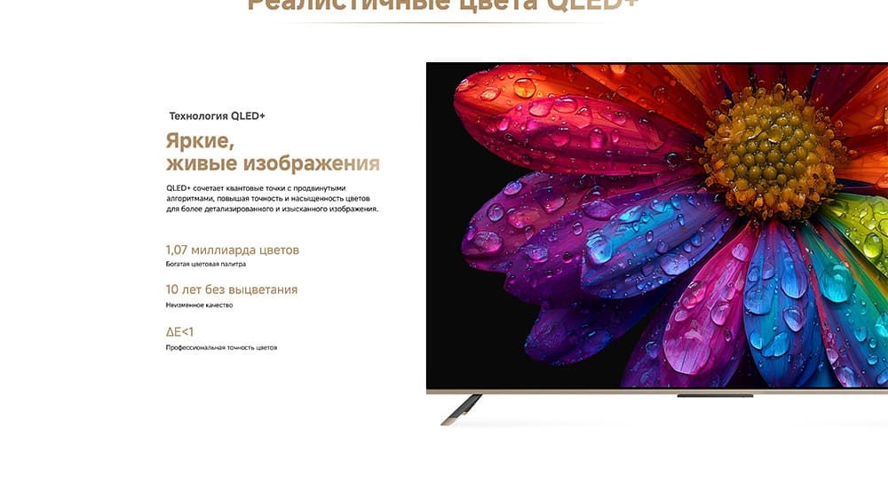 живые изображения